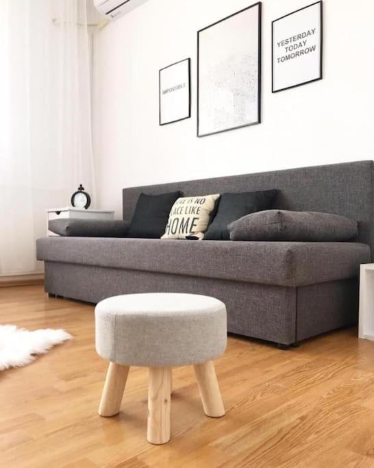 Joy City Stay Victoriei 7E-30 2 ティミショアラ エクステリア 写真