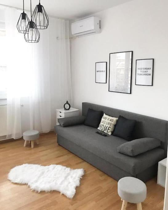 Joy City Stay Victoriei 7E-30 2 ティミショアラ エクステリア 写真